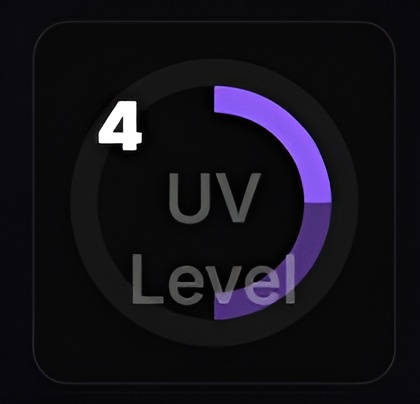 UV Dial Gauge